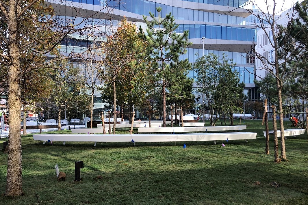 A view of The Square, with newly planted trees surrounding benches, and David Geffen Hall in the background. 
